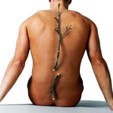 osteoporoza pomoč